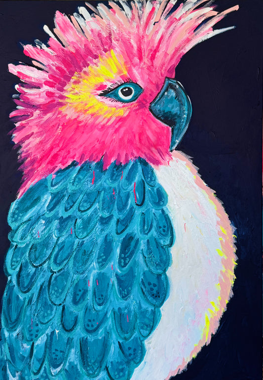 Mr Cocky (Original)